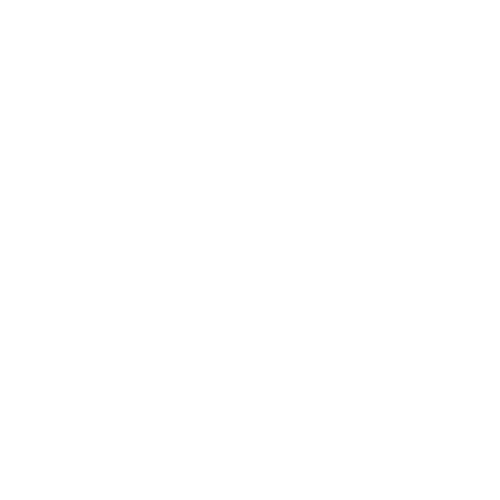 ELEVATE CORE