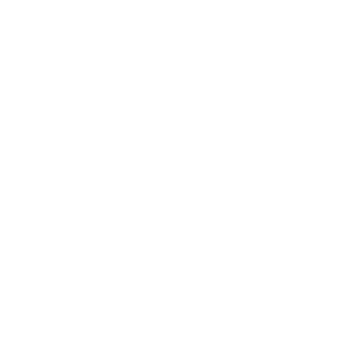 ELEVATE CORE